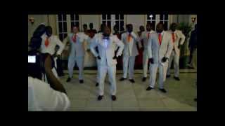 Wedding Party Reception Dance [upl. by Persse]