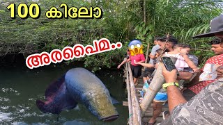 EP05🔥Hand feeding “GIANT” arapaima in Thailand 🇹🇭 [upl. by Babara]