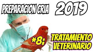 TRATAMIENTO VETERINARIO [upl. by Milburr54]