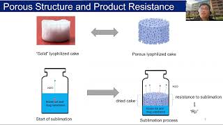 Sensitivity of Lyophilization Rate and Porous Structure to Small Changes in Freezing [upl. by Hajar]