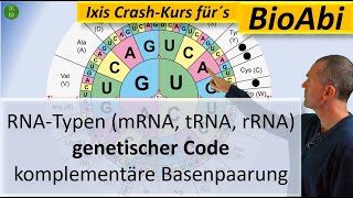 RNATypen mRNA tRNA rRNA Genetischer Code und Komplementäre Basenpaarung  Anwendungsaufgaben [upl. by Ainafetse]