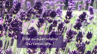 Eine wunderschöne Gartensaison [upl. by Timothy922]