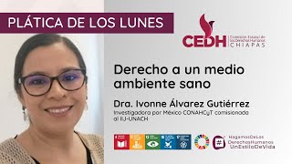 Derecho a un medio ambiente sano  Dra Ivonne Álvarez Gutiérrez [upl. by Jerrilyn]