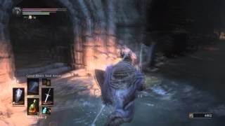 DARK SOULS 3 illusory wall CATACOMBS of CARTHUS [upl. by Joella]