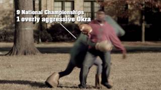 Dont Get Sacked  The Fighting Okra  The Video [upl. by Nonnac]