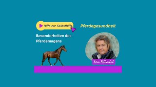 Besonderheiten des Pferdemagens  Pferdegesundheit  Karin Kattwinkel [upl. by Einnaoj736]