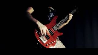 Sorrow Bad Religion  Bass Cover [upl. by Aetnahs]