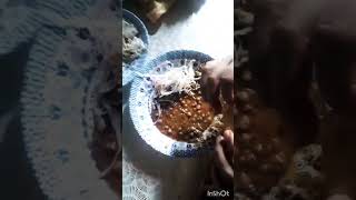 halwa purispecialhalwapuri sundayspecial [upl. by Scheider]