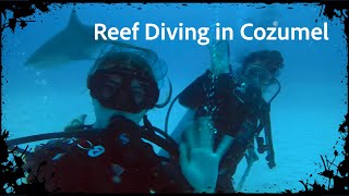 Cozumel Dive Trip January 2023 [upl. by Isma]