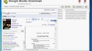 How to download Google books to PDF wwwebookconvertercom [upl. by Haroppizt662]