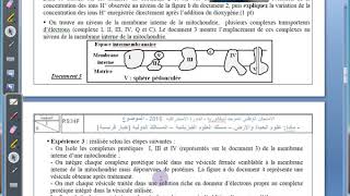 La consommation de la matière organique et le flux dénergie svt 2 bac SVT BIOF شرح بالداريجة [upl. by Ecnahc]