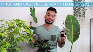 First and Last Houseplant Haul of 2020  Indoor Plant Collection [upl. by Cha]