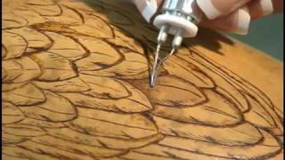 Woodburning on Gourds with Carrie Dearing [upl. by Aisek]