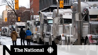 Ottawa businesses residents frustrated by ongoing disruption of protests [upl. by Enilrek]