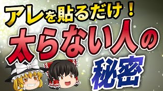 【40代50代】痩せたい人は見ろ！カイロを貼るだけで基礎代謝が爆上がりして脂肪が燃焼する方法【ゆっくり解説】 [upl. by Engracia]