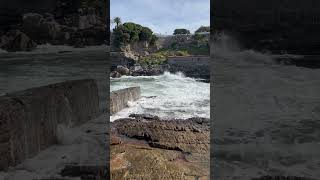 Hermanus beach in South Africa شاطئ هيرمانوس في جنوب أفريقيا 🇿🇦 [upl. by Haland407]