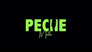 PECHE ft Meloidiz Video Lyrics [upl. by Alphonso]