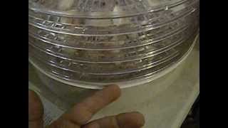 ronco food dehydrator update review [upl. by Thin]