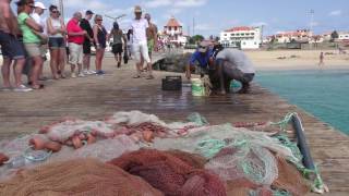 Sal KaapverdiÃ«  Cabo Verde  Cape Verde 2016 Paradise Island [upl. by Farah673]