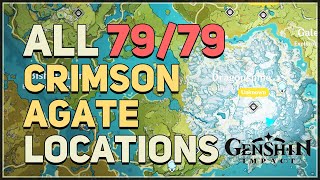 All 79 Crimson Agate Locations Genshin Impact [upl. by Barcellona]