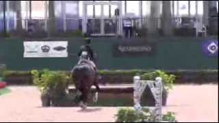 Video of ZERNIKE ridden by DEVON AUERBACH from ShowNet [upl. by Enalahs]