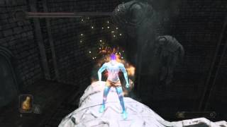 Dark Souls 2 Speedrun Strat  Lowermost Floor bonfire Jump Skip [upl. by Kosiur418]