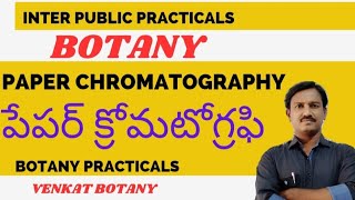 Paper Chromatography  Botany Practicals  Seperation of Chlorophyll Pigments [upl. by Happy]