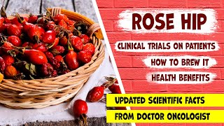 Rose hip great natural sourсe of vitamins and antioxidants Health benefits and clinical trials [upl. by Mansfield769]