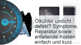 Ölkühler undicht  Kosten » Symptome » Reparatur [upl. by Naired]