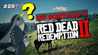 29 MERLE  OÙ LES CHASSER  RED DEAD REDEMPTION 2 [upl. by Nhguavaj751]