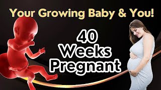 Im 40 Weeks Pregnant What to Expect [upl. by Adnwahs]