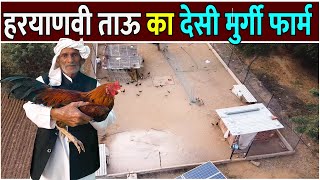 हरयाणवी ताऊ का देसी मुर्गी फार्म  Pure Desi Murgi Farm  Desi Poultry Farming [upl. by Vyky]