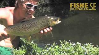 Freestyle på Nya Zeeland  New Zeeland trout fishing [upl. by Dincolo]