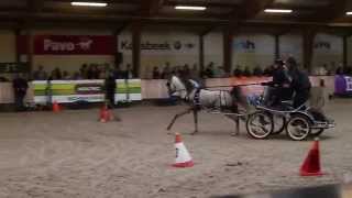 201411 Paard en Koets  5 [upl. by Am]