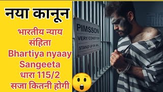 Bhartiya nyaay sanhita ki dhara 1152 kya hai  what is BNS section 115 sab section 2 bnss [upl. by Wolliw]