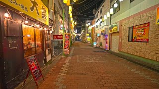 4K・ Night walk around Hiratsuka city shrines and the beach・4K HDR [upl. by Enellij]