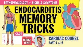 Endocarditis Pathophysiology signs and symptoms for nursing students NCLEX review [upl. by Valma]