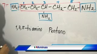 Aminas Nomenclatura Química Orgánica Parte 1 [upl. by Vincenz]