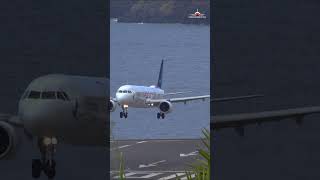 Kangaroo 🦘 style landing A321Neo Azores airlines MADEIRA AIRPORT madeiraairport aviation shorts [upl. by Nawud]