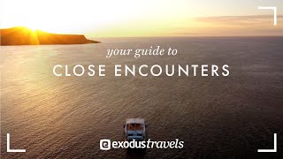 Exodus Travels  Your Guide to Close Encounters [upl. by Anem985]