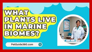 What Plants Live In Marine Biomes  PetGuide360com [upl. by Haneehs707]