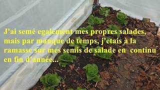 TOUR DU POTAGER BIOLOGIQUE EN PERMACULTURE [upl. by Nomyaw21]