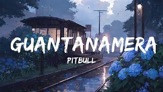 Pitbull  Guantanamera Shes Hot  Top Best Song [upl. by Ilana]