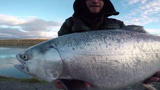 Catching Salmon in Twizel canals [upl. by Maggee233]