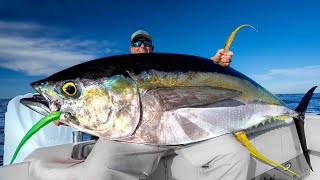 MASSIVE Yellowfin TunaCatch Clean Cook [upl. by Kironde324]