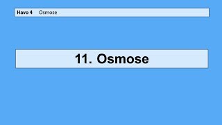 11 Osmose [upl. by Leda]