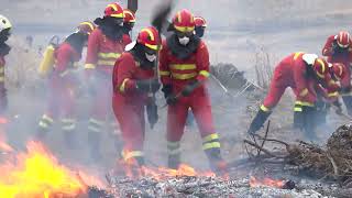 Curso Básico de Emergencias 2022 [upl. by Ames492]