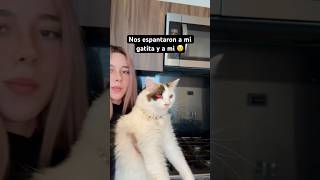 Ayer nos espantaron a mi gatita y a mi 🥺 miedo viralvideo scary [upl. by Animsay]