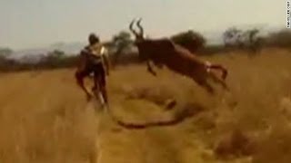 Survival of the fittest Antelope vs Cyclist edition [upl. by Romeyn]