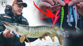 Mit diesen neuen Zander Pro Shad Farben räumst du diesen Winter ab  Raubfischangeln [upl. by Ateuqram]